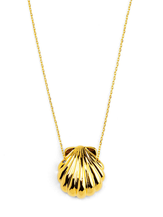 Seashell Pendant Short Necklace